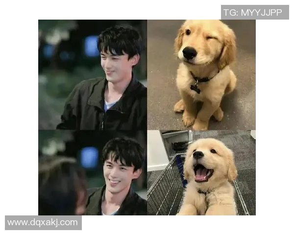 羽毛球场上的奋斗与梦想吴磊畅谈自己的运动生涯与未来展望