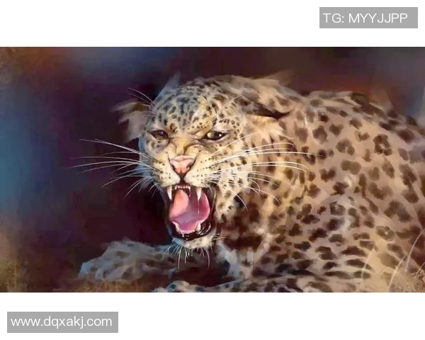 足球明星亨利的情感历程与珍贵回忆图片集锦